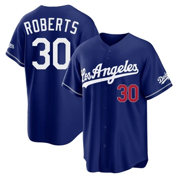 Youth Los Angeles Dodgers Dave Roberts ＃30 Royal Limited Alternate Stadium Jersey